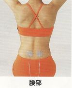 低周波療法による腰部治療のサムネール画像